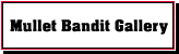 Mullet Bandit Gallery